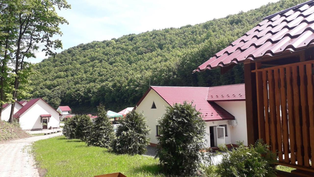 Mishyn-City Hotel Dobrovlyany Exterior photo